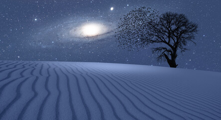 Poster - Lone tree with amazing Andromeda  Galaxy at sunset 