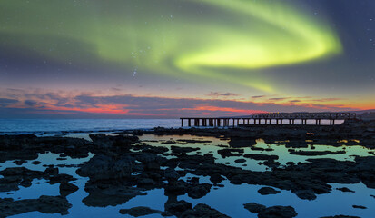 Wall Mural - northern lights (aurora borealis) in the sky with rocky sea coast full of green seaweed at sunset