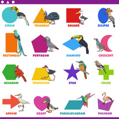 Sticker - basic geometric shapes with comic birds characters set