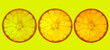 Composition of orange slices on a colored background. Postcard, design, background. 
