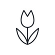 Tulip icon. Spring flowers isolated vector icons