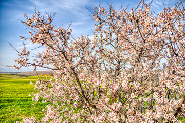 Canvas Print - Barrancas de Burujon, Spain, HDR Image