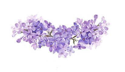 watercolor wreath of lilac branches.female flower.