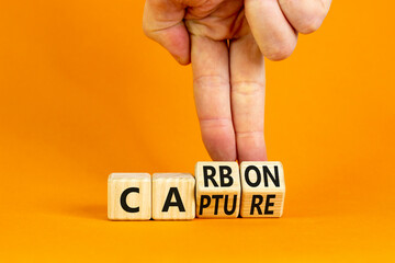 Wall Mural - Carbon capture symbol. Businessman turns wooden cubes and changes the concept word Carbon to Capture. Beautiful orange table orange background. Business ecological carbon capture concept. Copy space.