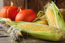 Ripe Yellow Corn And A Pumpkin Colored Carrots On Sackcloth. Wooden Background