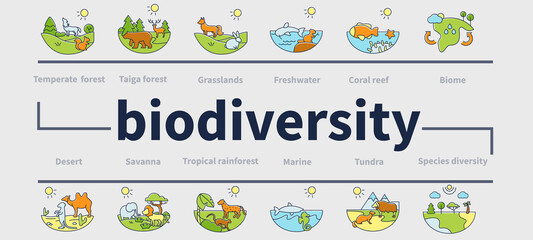 biodiversity ecosystem vector infographics. consists of desert, grassland, tundra, freshwater, rainf