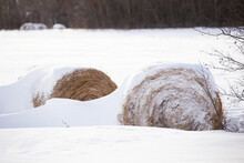Two Snow Covered Straw Bales In A Rural Winter Landscape