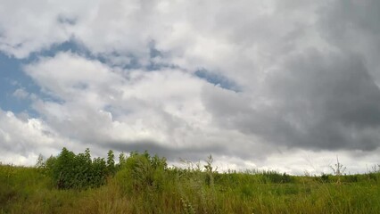 Wall Mural - Ukraine without war. Peaceful sky over Ukraine. Ukrainian field.
