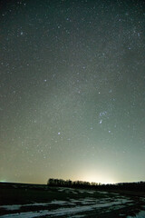Wall Mural -  forest in the night . Night landscape. Nightsky and clouds . Stars in the sky . Lights of the city . 