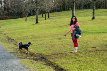 Wall Mural - Passeando com o cachorro 