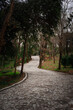 © Aissa Haffar - alley in the public park nature