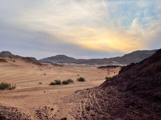 Canvas Print - Beautiful shot of the Colored Canyon in Sinai