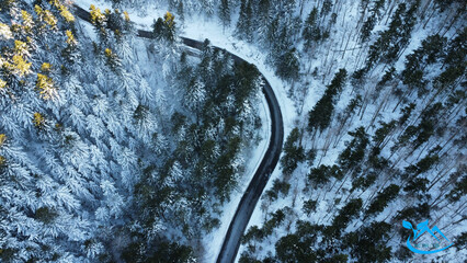 Wall Mural - Bird's eye view of an empty road in forest in mid winter season