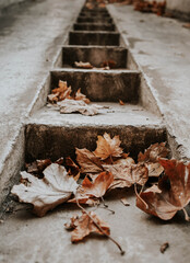 Canvas Print - Photo of dry leaves on a narrow stone stairs outdoors