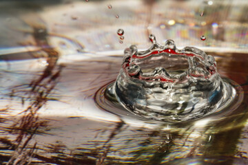 Wall Mural - Close-up shot of waterdrops - perfect for background