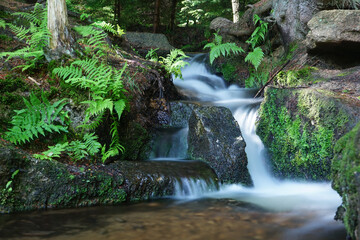 Wall Mural - Closeup shot of the beautiful waterfall flowing into the river in the forest