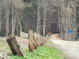 Sticker - Beautiful view of an empty road in a village with large trees