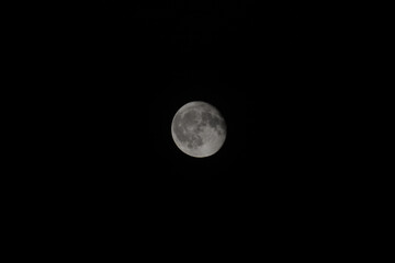 Poster - Full moon in the night sky