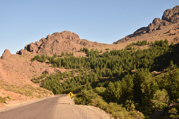 Sticker - Empty road against the background of rocky hills and green trees.