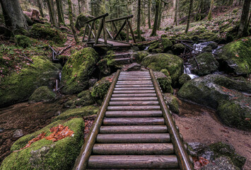 Wall Mural - Wooden bridge over the Geroldsau Waterfall in the Black Forest Mountains, Germany