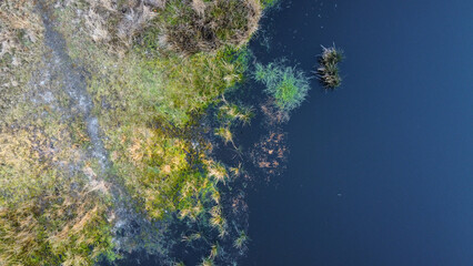 Poster - Aerial view of a shore with some plants