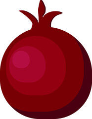 Poster - Vector illustration of a pomegranate on white background