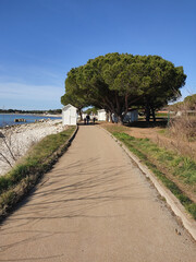 Poster - Beautiful view of a road pathnwith grass and trees by a water beach against a blue sunny sky