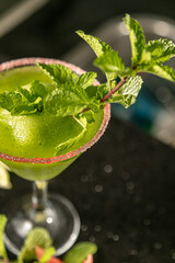 Canvas Print - Closeup of a cocktail mojito