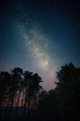 Wall Mural - Vertical low angle shot of a breathtaking starry sky above a forest