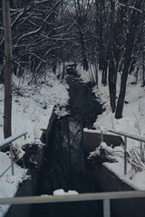 Canvas Print - Vertical shot of a river in the forest in winter