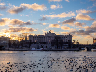 Canvas Print - Royal Palace of Madrid and birds swimming in Manzanares River against blue cloudy sky at sunset