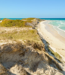 Canvas Print - Cayo Coco Cuban Dune