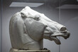 Closeup of a horse head sculpture in a museum