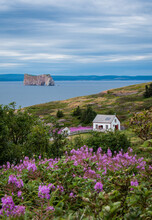 Vertical Shot Of The Blooming Ile Bonaventure And Rocher Perce Shore In Quebec, Canada