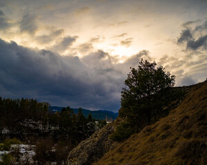 Wall Mural - Beautiful shot of a lush tree on the top of green hill against a cloudy sky at sunset