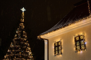 Poster - Low angle shot of a decorated Christmas tree and house light decorations at night