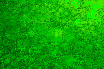 Wall Mural - The close distance of the green bubble,Bubble, DNA, Drop, Liquid, Medicine,Foam Bubble from Soap or Shampoo Washing,Poland, Biochemistry, Biotechnology, Laboratory, Water