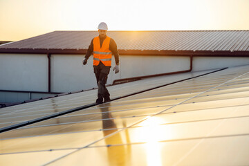 Wall Mural - A handyman walking around rooftop and checking on solar panels.