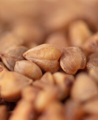 Wall Mural - Close-up of buckwheat groats as background.