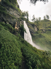 Sticker - Beautiful landscape of a waterfall in the middle of green trees in the forest with a sunny blue sky