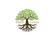 Tree And Roots Vector, Abstract Tree Logo With Circle Shapes