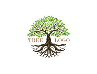 Sticker - Tree and roots vector, abstract tree logo with circle shapes