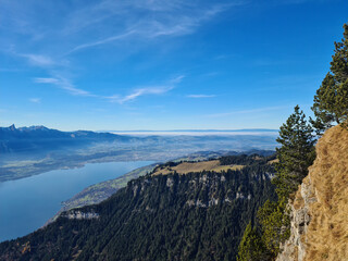 Wall Mural - aerial shot of a lake thun and a forested mountains under a blue sky