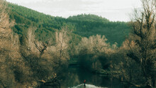 Beautiful Landscape View Of A River With Leafless Trees On Its Both Banks Against Dense Forest
