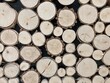 Drewno, pnie drewna, poukładane drewno opałowe, drewno na opał