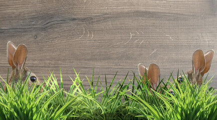 Wall Mural - sweet easter bunnies ears hidden in the grass wooden structure background