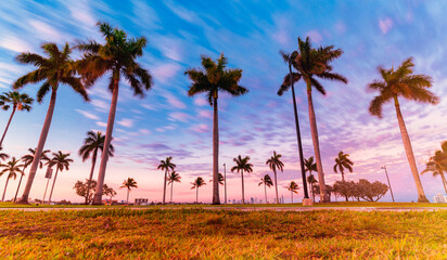 Wall Mural - trees at sunset palms tropical bal harbour travel landscape sun colors sky clouds beautiful 