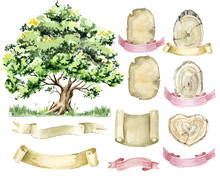 Genealogy Of Trees. Watercolor Family Tree. Watercolor Clipart To Create A Unique Family Tree. Wooden Slices, Paper Scrolls, Text Banners.