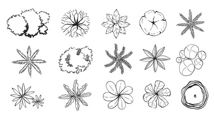 Illustration Top view ,set of trees elements outline symbol for architecture and landscape design drawing. 