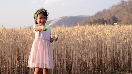 Wall Mural - Happy little girl playing bubble on barley wheat field in summer.